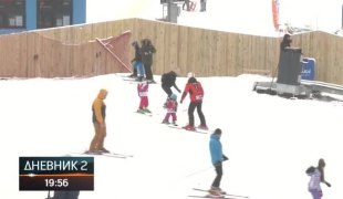 Дневник 2