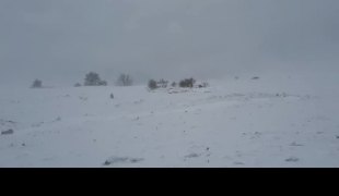 Вијести