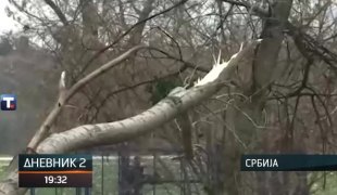 Дневник 2