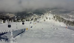 Вијести