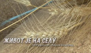 Живот је на селу