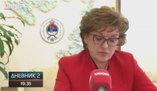 Дневник 2