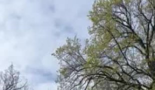 Вијести