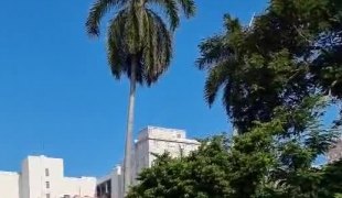 Вијести