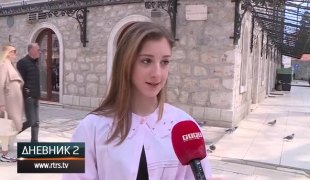 Дневник 2