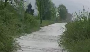 Вијести
