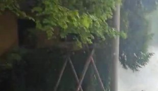 Вијести