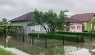 Вијести