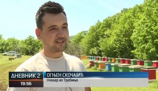 Дневник 2