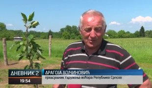 Дневник 2