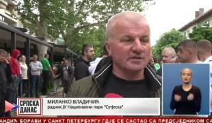 Српска Данас