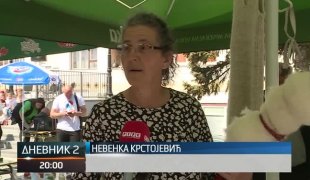 Дневник 2