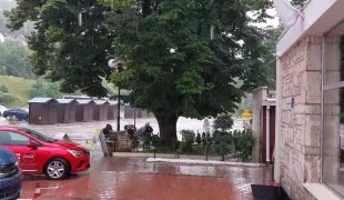 Вијести