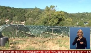 Српска Данас