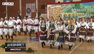 Дневник 1