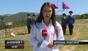 Дневник 1