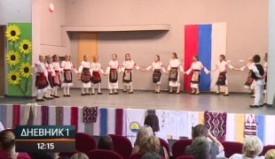Дневник 1