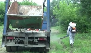 Јутарњи програм