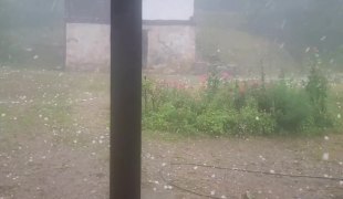 Вијести