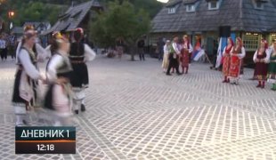 Дневник 1