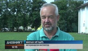 Дневник 1