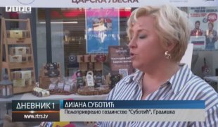 Дневник 1