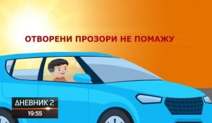 Дневник 2