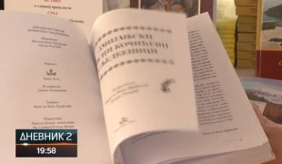 Дневник 2