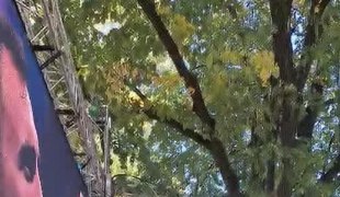 Вијести