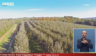 Српска Данас
