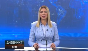 Дневник 1