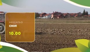 Сноп