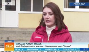 Јутарњи програм