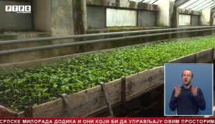 Српска Данас