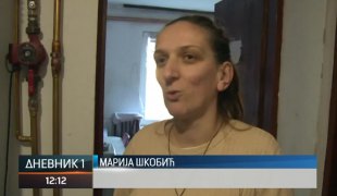 Дневник 1