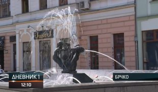 Дневник 1