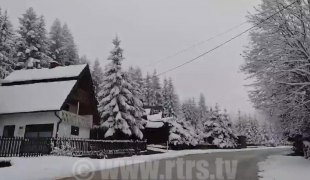 Вијести