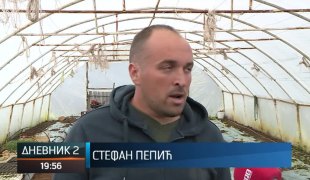 Дневник 2
