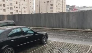 Вијести