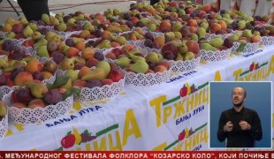 Српска Данас