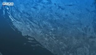 Временска прогноза