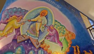 Вијести