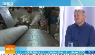 Јутарњи програм