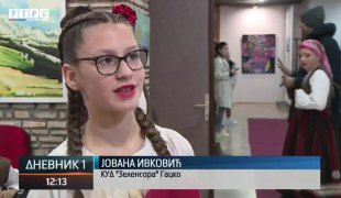 Дневник 1