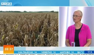 Јутарњи програм