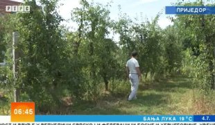 Јутарњи програм