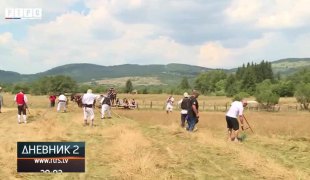 Дневник 2