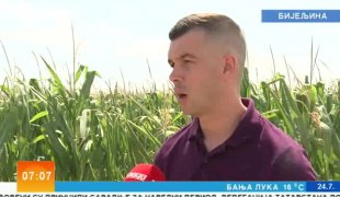 Јутарњи програм