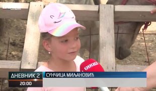 Дневник 2
