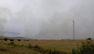 Вијести